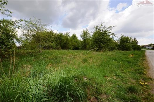 Działka budowlana na sprzedaż Ostrów 3 800m2 Foto 9