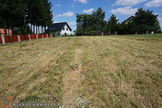 Działka budowlana na sprzedaż Sieborowice 2 600m2 Foto 6