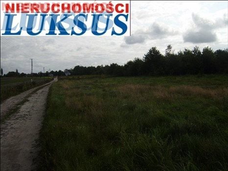Działka budowlana pod dzierżawę Prażmów, Nowy Prażmów, Sporna 25 806m2 Foto 7