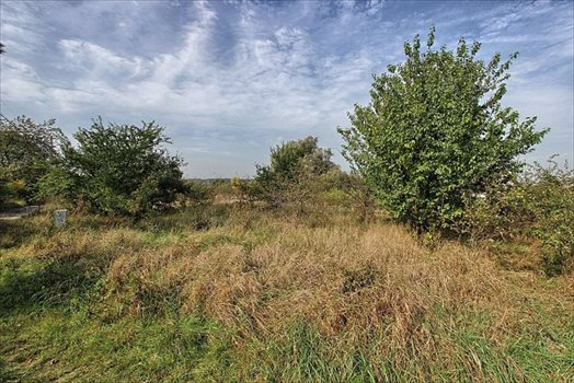 Działka rolna na sprzedaż Dołuje 915m2 Foto 6