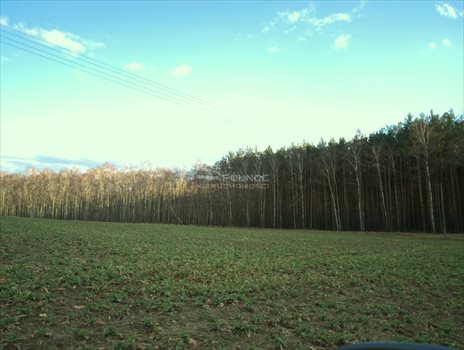 Działka rekreacyjna na sprzedaż Bardzynin 1 132m2 Foto 4