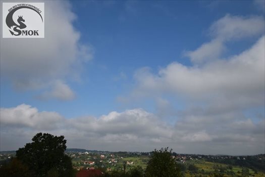 Działka budowlana na sprzedaż Golkowice 4 700m2 Foto 1
