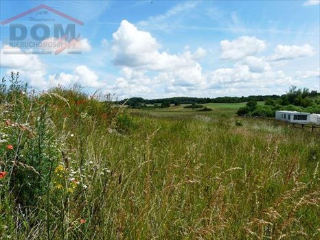 Działka inna na sprzedaż Gudowo, Jezioro, Las, Rzeka, Tereny rekreacyjne 1 748m2 Foto 10