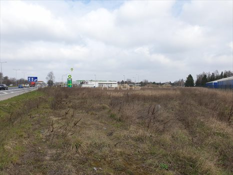 Działka inwestycyjna na sprzedaż Poznań, Rataje, Bolesława Krzywoustego 13 000m2 Foto 8