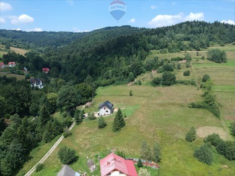 Działka budowlana na sprzedaż Pewel Wielka 1 800m2 Foto 6