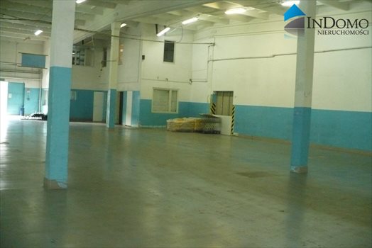 Lokal użytkowy na wynajem Piotrków Trybunalski 869m2 Foto 5
