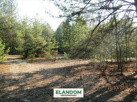 Działka rolna na sprzedaż Ponurzyca 10 000m2 Foto 7
