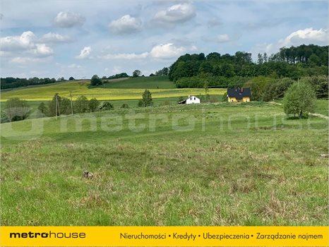 Działka inna na sprzedaż Trzepowo, Przywidz 1 002m2 Foto 2