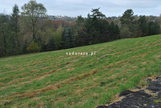 Działka budowlana na sprzedaż Siercza 4 700m2 Foto 8