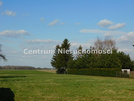 Dom na sprzedaż Górna Wola 90m2 Foto 6