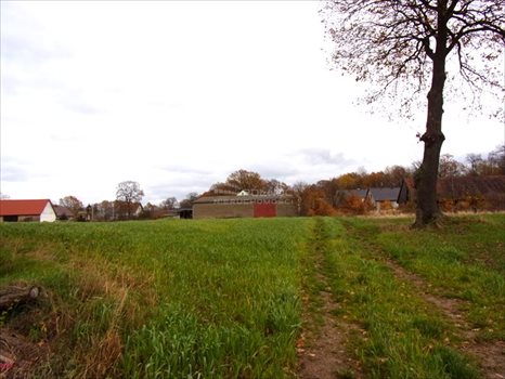 Lokal użytkowy na sprzedaż Golnice 200 000m2 Foto 9