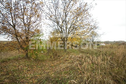Dom na sprzedaż Kazimierz Dolny, Jeziorszczyzna 300m2 Foto 6