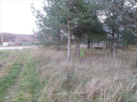 Działka budowlana na sprzedaż Czaplino 1 600m2 Foto 3