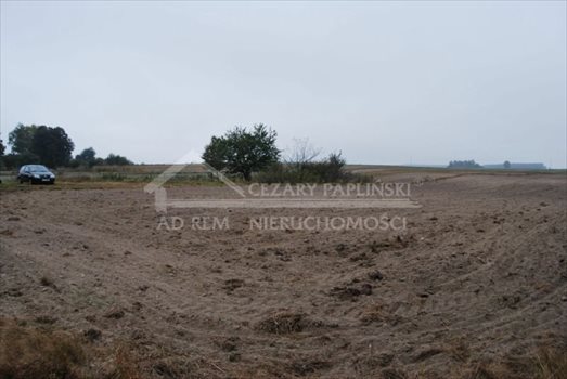 Działka inwestycyjna na sprzedaż Michałówka 20 000m2 Foto 5