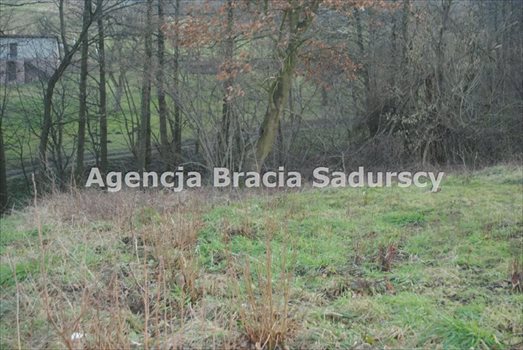 Działka budowlana na sprzedaż Trąbki 2 300m2 Foto 6