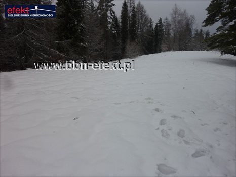 Działka rekreacyjna na sprzedaż Międzybrodzie Żywieckie 3 600m2 Foto 5