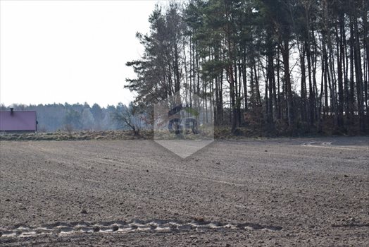Działka budowlana na sprzedaż Stare Polaszki 6 251m2 Foto 9