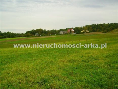 Działka budowlana na sprzedaż Lubomierz 2 000m2 Foto 1
