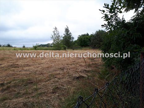 Działka budowlana na sprzedaż Izbica 1 248m2 Foto 12
