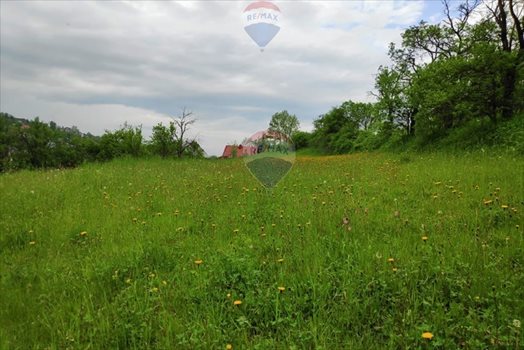 Działka rolna na sprzedaż Rabka-Zdrój 1 472m2 Foto 2