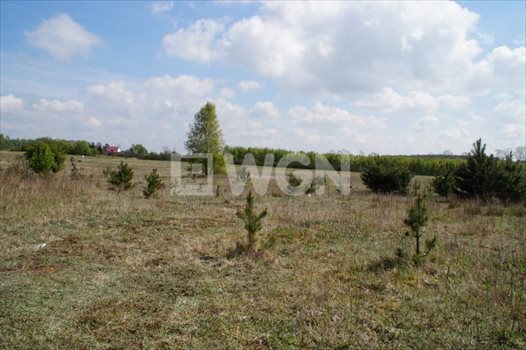 Działka inwestycyjna na sprzedaż Objazda, Objazda, Objazda 1 000m2 Foto 10