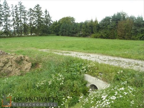 Działka rolna pod dzierżawę Modlnica 5 300m2 Foto 6