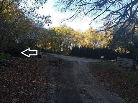 Działka budowlana na sprzedaż Krzynia 2 258m2 Foto 3
