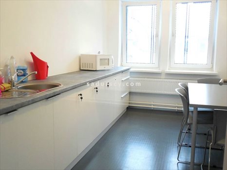 Lokal użytkowy na wynajem Piaseczno 250m2 Foto 7