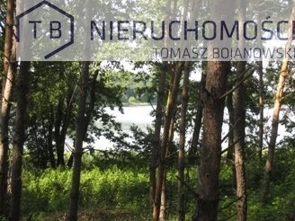 Działka budowlana na sprzedaż Powidz, Nad Jeziorem, Przybrodzin 3 000m2 Foto 2