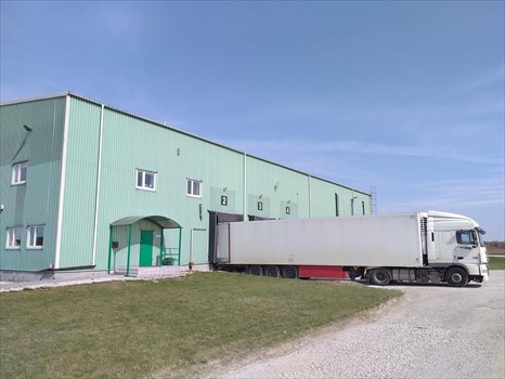 Lokal użytkowy na sprzedaż Białobrzegi 2 000m2 Foto 4