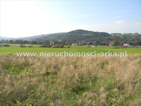 Działka budowlana na sprzedaż Dobra 1 300m2 Foto 4