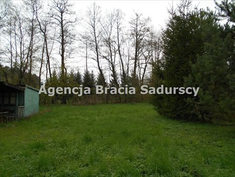 Działka rolna na sprzedaż Januszowice 2 800m2 Foto 10