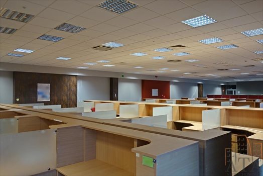 Lokal użytkowy na wynajem Wrocław, Psie Pole 412m2 Foto 4