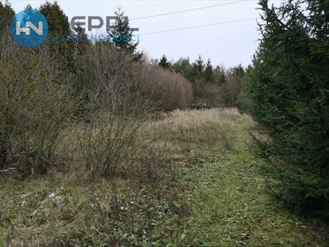 Dom na wynajem Bilcza 350m2 Foto 4