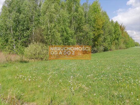 Działka siedliskowa na sprzedaż Bocian 10 000m2 Foto 3
