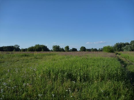 Działka budowlana na sprzedaż Kępa Kiełpińska, Brzegowa 1 700m2 Foto 4