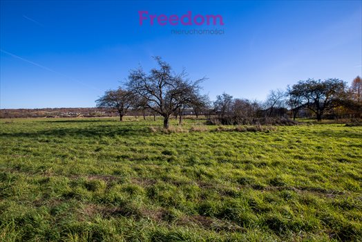 Działka budowlana na sprzedaż Rzeszów, Budziwój, Herbowa 18 500m2 Foto 6