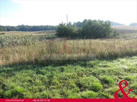 Działka budowlana na sprzedaż Nowa Wieś Przywidzka, Piastowska 3 002m2 Foto 2