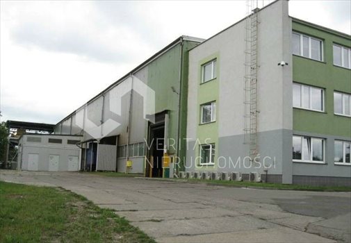 Lokal użytkowy na sprzedaż Tarnowskie Góry 5 298m2 Foto 2