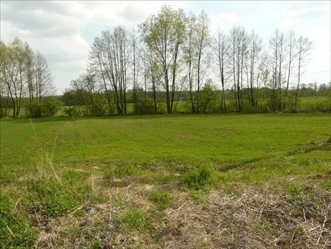 Działka inna na sprzedaż Majdan Krasieniński, Niemce 2 184m2 Foto 3
