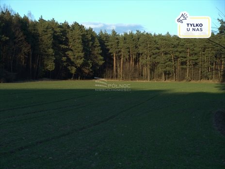 Działka rekreacyjna na sprzedaż Bardzynin 1 132m2 Foto 1