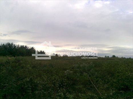 Działka rekreacyjna na sprzedaż Gołubie 1 090m2 Foto 5