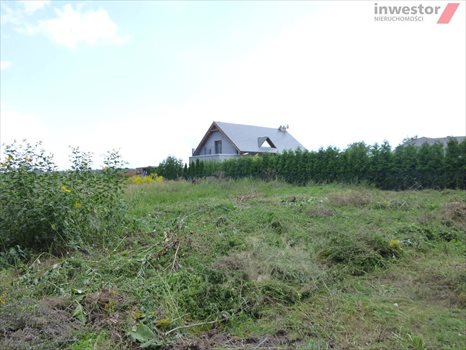 Działka budowlana na sprzedaż Wołczkowo 3 000m2 Foto 12