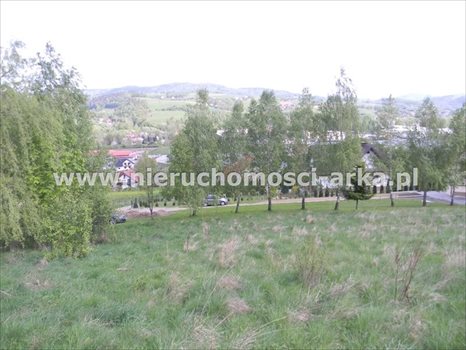 Działka budowlana na sprzedaż Limanowa 5 500m2 Foto 7