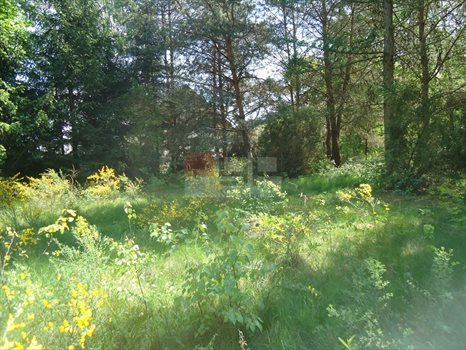 Działka inna na sprzedaż Biały Ług 4 100m2 Foto 7