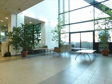 Lokal użytkowy na wynajem Józefosław 189m2 Foto 11