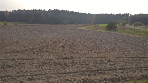Działka budowlana na sprzedaż Bory Tucholskie, Nad Rzeką, Duże Krówno 47 4 973m2 Foto 10