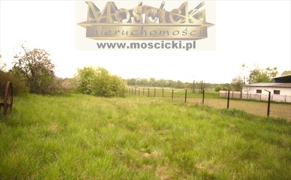 Działka budowlana na sprzedaż Gołków 2 700m2 Foto 1