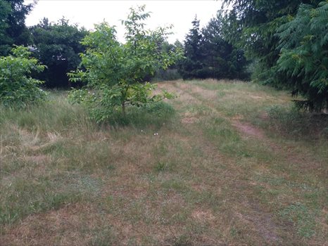 Działka budowlana na sprzedaż Ruda 809m2 Foto 4
