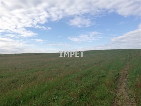 Działka rolna na sprzedaż Dłużyna Dolna 17 069m2 Foto 1